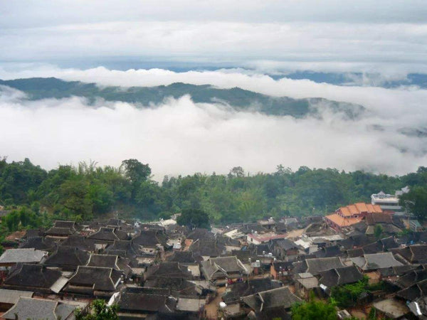 六大古茶山之首——易武茶区