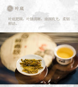 2016连心普洱茶（生茶）紧压茶