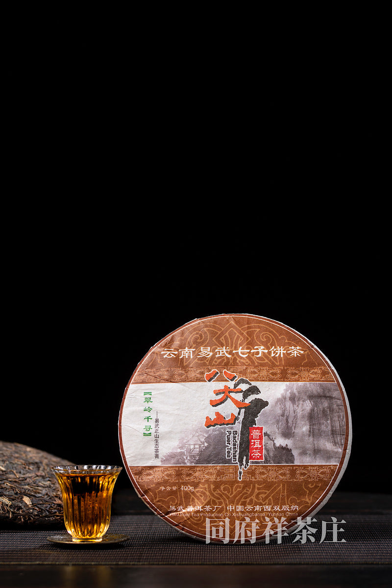 翠岭千寻易武古树春茶 生茶 2006年400g